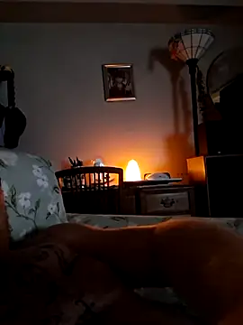 Landsaw Webcam Show