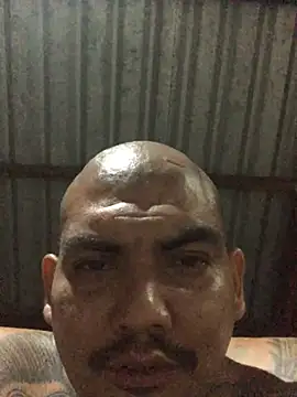 Show webcam de DannCer
