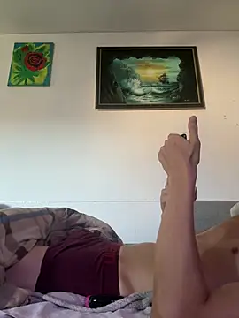 Toyjungee Webcam-Show