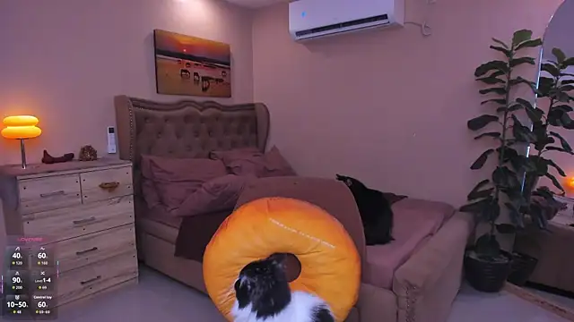 Show de webcam de OliGasm