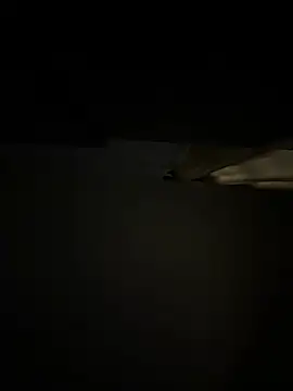 CoyoteDuMato: διαδικτυακό σόου στην κάμερα