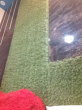 Chat +18 de SHANVII ao vivo