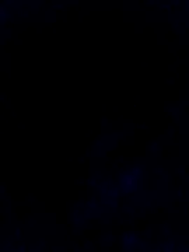 Show de webcam de HugoXR