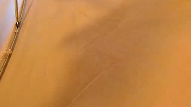 wild-district Live XXX-chat