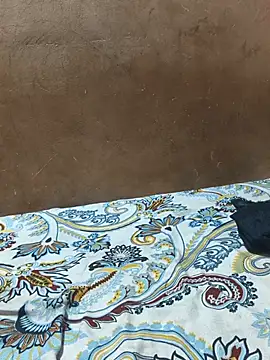 Chat +18 de CplAnita ao vivo