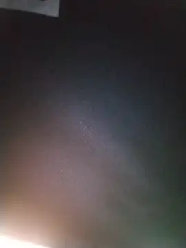 ReallyReallyReal élő XXX-chatje