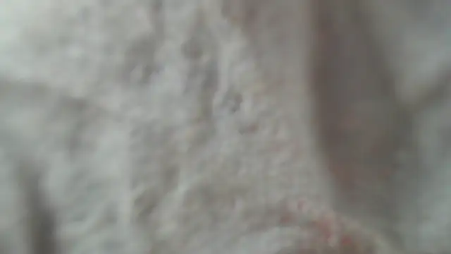 CocoJadeX Pertunjukan Webcam