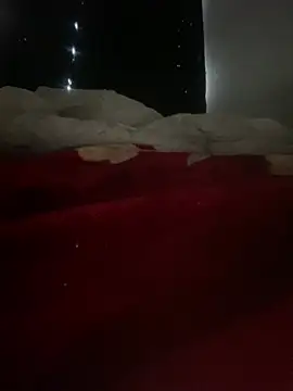 GusanoDelicioso Obrolan Langsung XXX