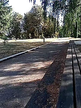 Chat XXX Live BiketravelChat