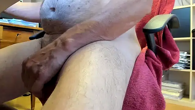 leccaleccafiga XXX чат на живо