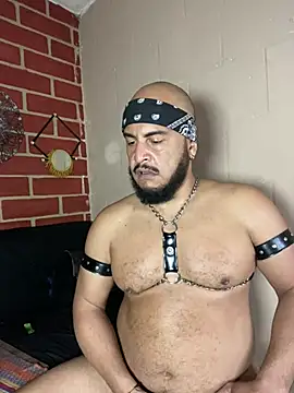 the_master_foal_'s Webcam Show