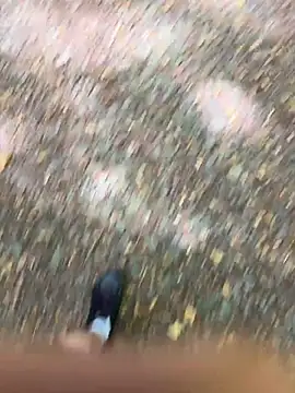 funlad245 即時 XXX 聊天