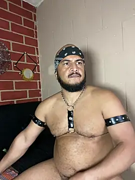 Chat XXX ao vivo de the_master_foal_