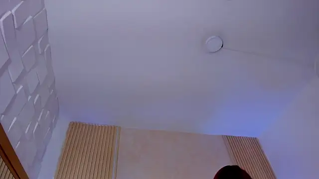 Chat XXX Live DAFNECOX
