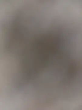Santosadrielart Webcam Show