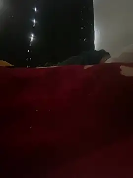GusanoDelicioso Chat XXX in diretta