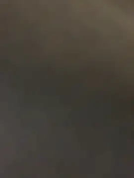 EvelynFlyn Live XXX chat
