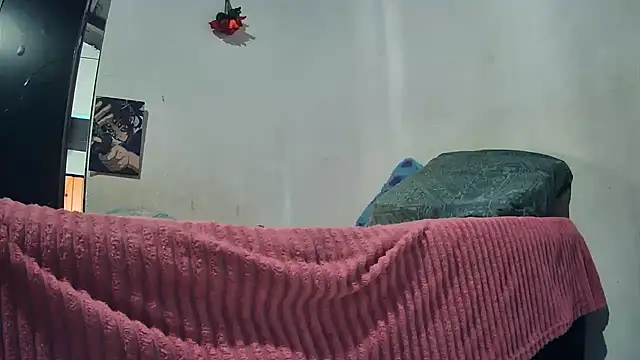 sk8-sir Webcam-Show