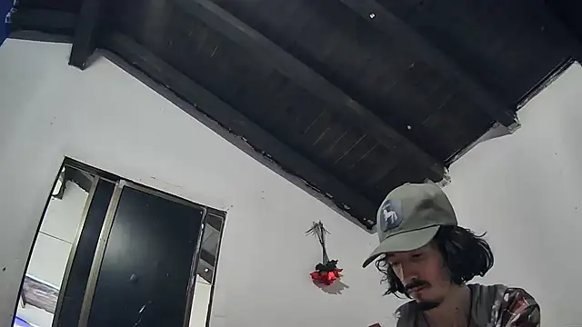 Show webcam de sk8-sir