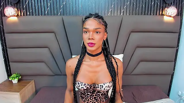 NaomiStewardn Webbikameraesitys