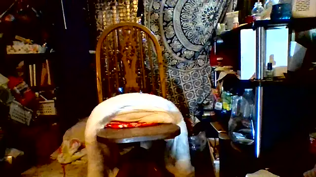XXX chat uživo modela Ambionce