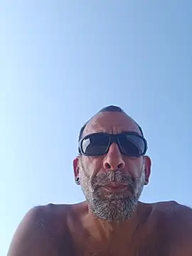 عرض كام Stingles