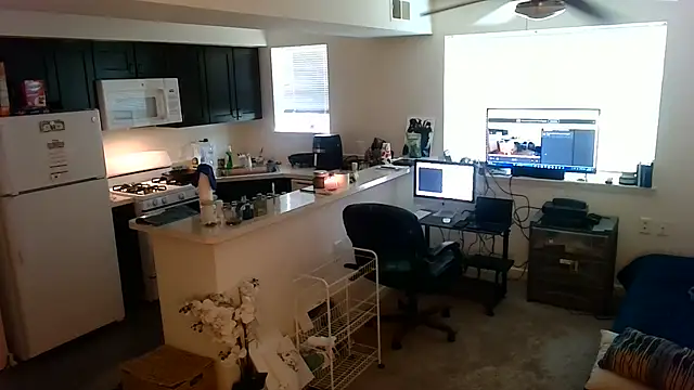 Q1357q Webcam show