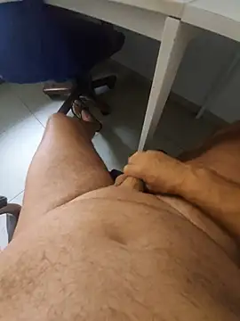hpp66 Live XXX-chat
