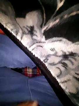 Chat XXX Live volcanojatt00