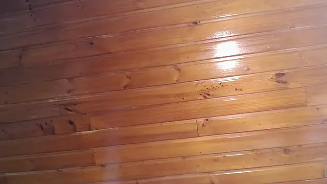 Онлайн чат XXX Amy_channel