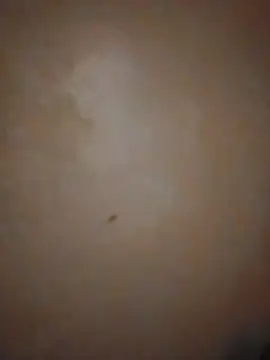 عرض كام Poipoi__30