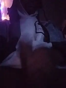 Proudndlovu Webcam-Show