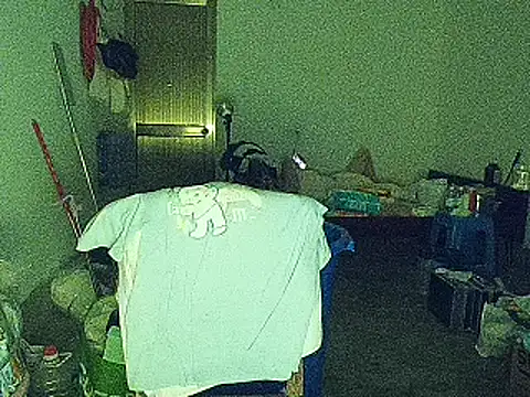RebelAura Webcam-Show