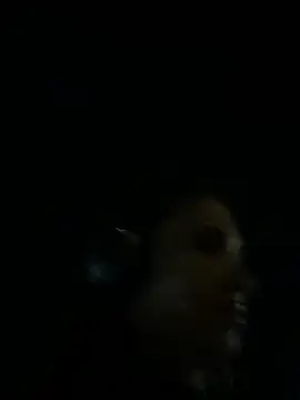 Chat +18 de Irresistible37 ao vivo