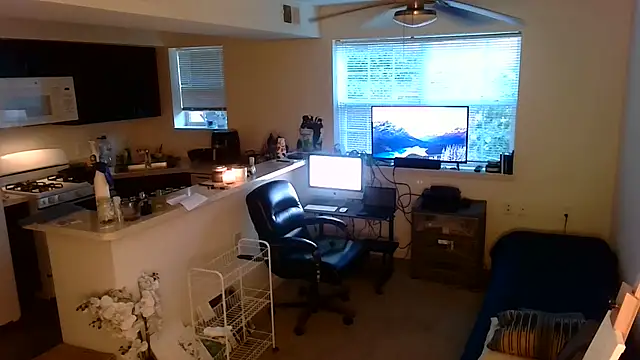 Q1357q Webcam-Show