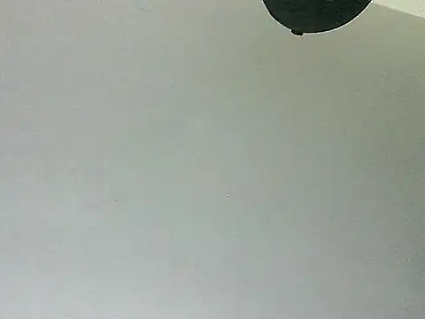 thomas2wood Live XXX-Chat