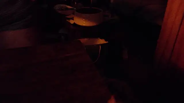 Chrisatmiami লাইভ XXX চ্যাট