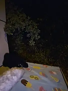 ViGothFox's Live XXX Chat
