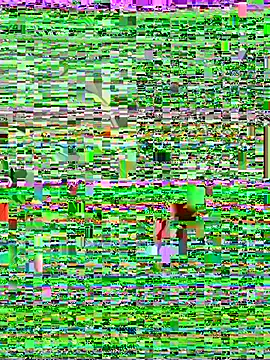 XXX chat uživo modela leiablack