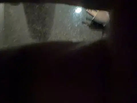 Cheatonen Webbikameraesitys