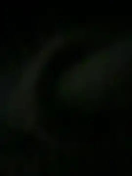 JhonnyDeeeeP webcam show