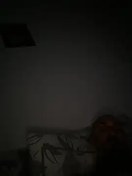 Adoro99 网络视讯表演