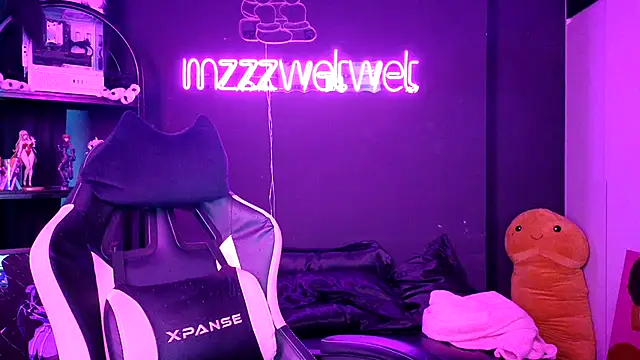 Show webcam de MZZZWETWET