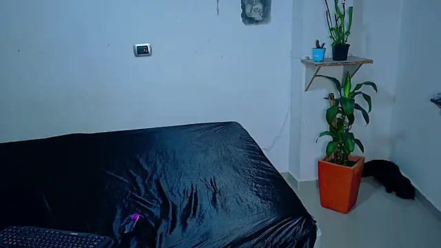 הופעת וובקאם של clydexxxbunny