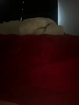 GusanoDelicioso Chat XXX in diretta