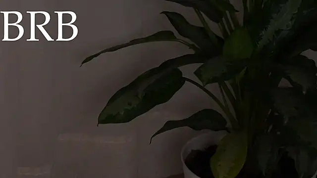 sweettaaron01 Live XXX Chat