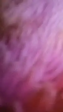 Show webcam de Bigcockmexi13