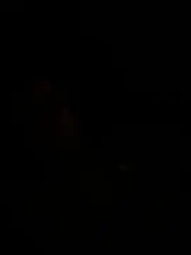 WIDBIGWHITECOCK Pertunjukan Webcam