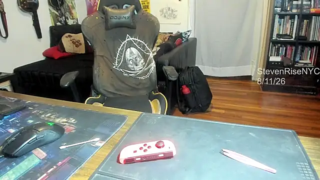 Show Webcam de StevenRiseNYC