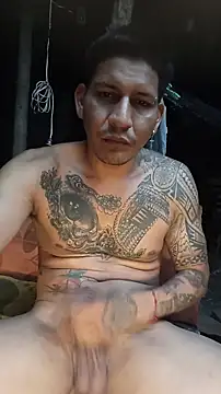 Show Webcam de cielo420